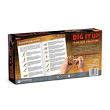 MindWare Dig It Up! Dinosaur Skeleton Eggs Excavation kit - Comes with 12 Clay Eggs, 12 Chisel Tools and 12 Instruction Sheets MindWare
