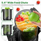 Cold Press Juicer, Masticating Juicer with 5.4" Wide Feed Chute, 350w Slow Juicer Machines Fit Whole Vegetables and Fruits,Juice Extractor Machine with High Juice Yield, Easy to Clean(Black) LQZ