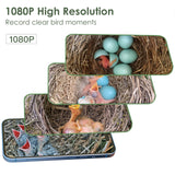 Birdkiss Smart Bird Houses for Outside Solar Powered, 1080P HD Live View Birdhouse with Camera, Perfect Viewing Bird Nesting and Hatching, Ideal Outdoors Bird House for Blue Bird and Cardinal (Green) Birdkiss