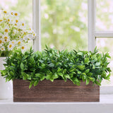 Winlyn 14" Artificial Boxwood Plants in Rectangular Wood Planter Farmhouse Greenery Arrangement Centerpiece Faux Potted Herb Plant for Wedding Dining Room Table Kitchen Windowsill Mantel Shelf Décor Winlyn