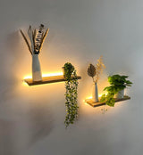 Floating Shelves for Wall Decor Wood Wall Mounted Shelves with LED Lights Set of 2, Sturdy Rustic Wood Shelves Farmhouse Shelf Hanging for Bedroom, Bathroom, Living Room, Kitchen (Usb Powwer) Comtelek