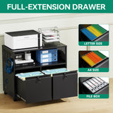 Letaya Mobile 2 Drawer File Cabinet with Lock, Metal Lateral Printer Stand Filing Storage Cabinets with Shelves for Home Office-A4/F4/Letter (Black) Letaya