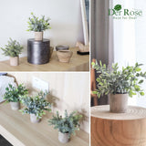 Der Rose 3 Pack Mini Potted Fake Plants Artificial Plastic Eucalyptus Plants Topiaries for Home Office Desk Farmhouse Room Decor Der Rose
