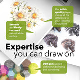 Castle Art Supplies Mixed Media Sketchpad 9 x 12in | 2-Pack | 50 Sheets Each (200 gsm/120lb) Artist Fine Grain, Heavyweight Paper | Creative Freedom Across Media and Techniques (9 x 12, 2-Pack) Castle Art Supplies