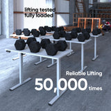 LongKe Electric Standing Desk Adjustable Height, Stand up Home Office Desk, 55x24 Inches Sit Stand Desk with Memory Preset, White LongKe