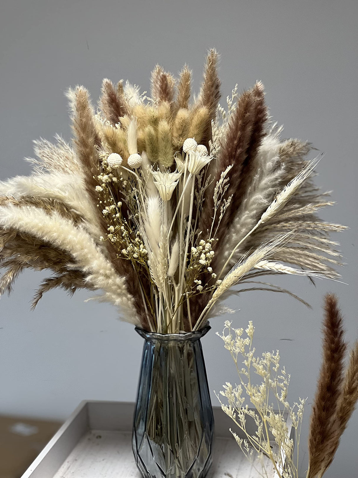 Total 104 pcs /11 Various Dried Pampas Grass Décor, White Pompous Grass, Bunny Tails Dried Flowers Reed Grass, 17 inch Pompass Grass for Flower Arrangements Boho Wedding Home Décor (Ivory White) Glamativity