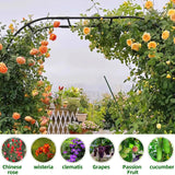 BUKLIYN Garden Arch Trellis - Length: 98.5in, Height: 94.5in Iron Garden Arch Arbor Trellis for Climbing Plants Outdoor - Garden Arch for Lawn, Party, Ceremony Wedding Decoration (Black) BUKLIYN