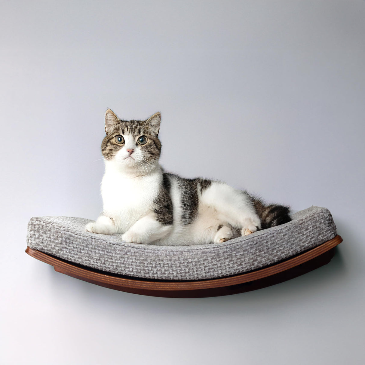 Kerwis Premium Cat Shelves – Cat Shelf in Walnut Brown with Replaceable Carpet with 2 Pine Wood Steps (3pcs). Sturdy Perches for Wall for Lounging and Playing, Cat Hammock Bed Furniture for Cats Kerwis