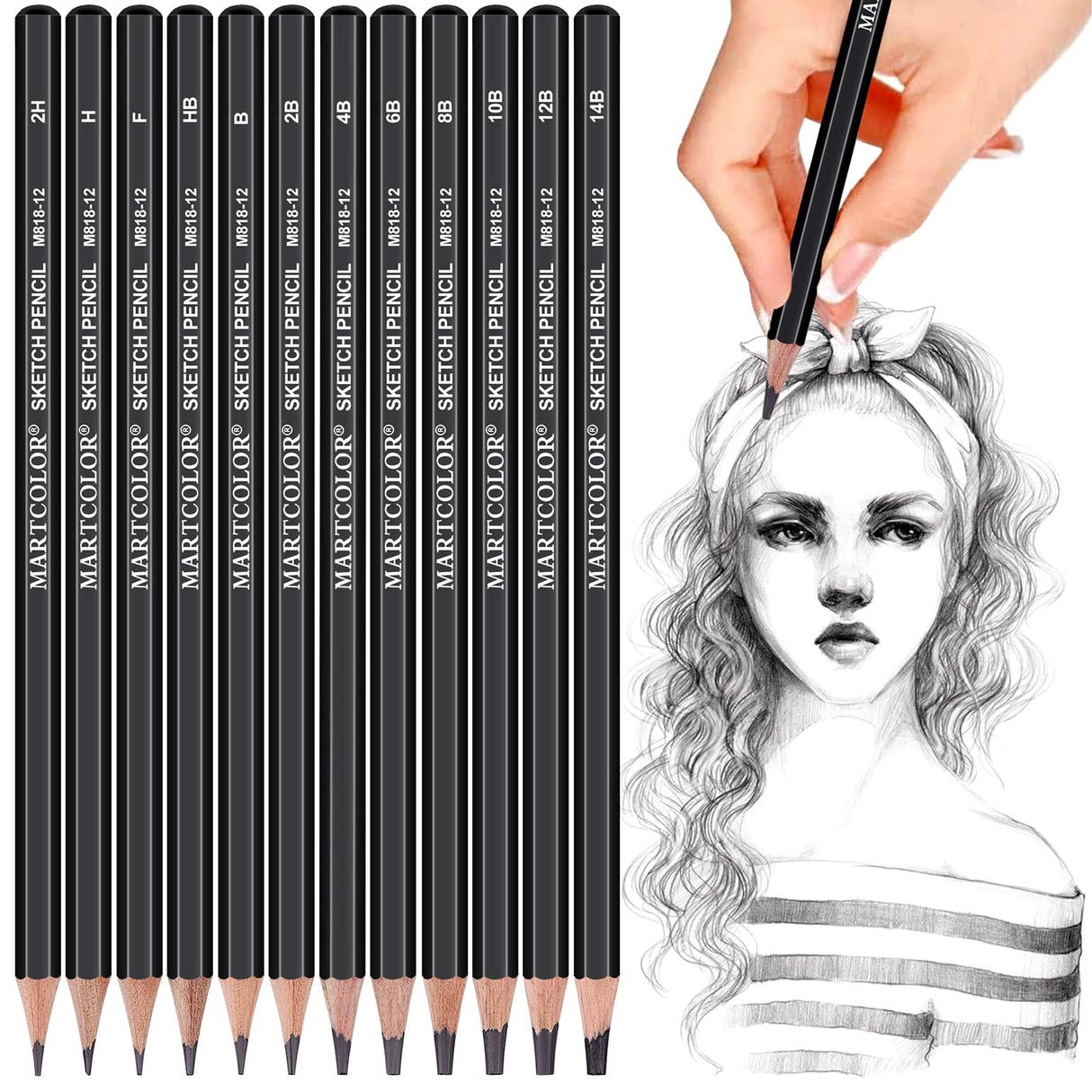 YUANCHENG Professional Drawing Sketching Pencil Set - 12 Pieces,Graphite,(14B - 2H), Graphite Pencils for Drawing, Shading Pencils for Sketching,Artist Pencils for Beginners,Drawing Art YUANCHENG