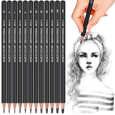 YUANCHENG Professional Drawing Sketching Pencil Set - 12 Pieces,Graphite,(14B - 2H), Graphite Pencils for Drawing, Shading Pencils for Sketching,Artist Pencils for Beginners,Drawing Art YUANCHENG