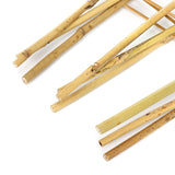 SWANGSA 6 Pack Bamboo Trellis 24 Inches for Climbing Plants, Fan-Shaped Bamboo Plant Trellis Cucumber Tomato Trellis with 50pcs Twist Ties for Outdoor and Indoor Potted Plants SWANGSA