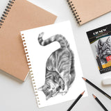 Qionew Professional Sketching Pencil for Drawing,14 Pack, Graphite Pencils, (12B-5H), Art Pencils for Drawing and Shading, Sketching, Ideal for Beginners & Pro Artists Qionew