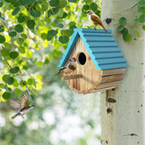 Bird House, Auslar Wooden Bird Houses for Outside, Birdhouse for Outdoors, Hanging Bluebird House for Cardinals Finch Wren Swallow for Garden Viewing Auslar