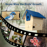 Qidoubird Smart Birdhouse with Camera, 2.4G WiFi Bird Watching Camera Night Vision, Wood Birdhouse Camera Auto Capture Bird Videos & Real Time Notify, Best for Bird Lovers Qidoubird