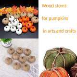 Craft Sticks, Wood Sticks Crafting Twigs Crafts Log Toy DIY Vase Fillers Pumpkin Stems Rustic Decorations Ornaments,Loose Parts Play Materials William Craft