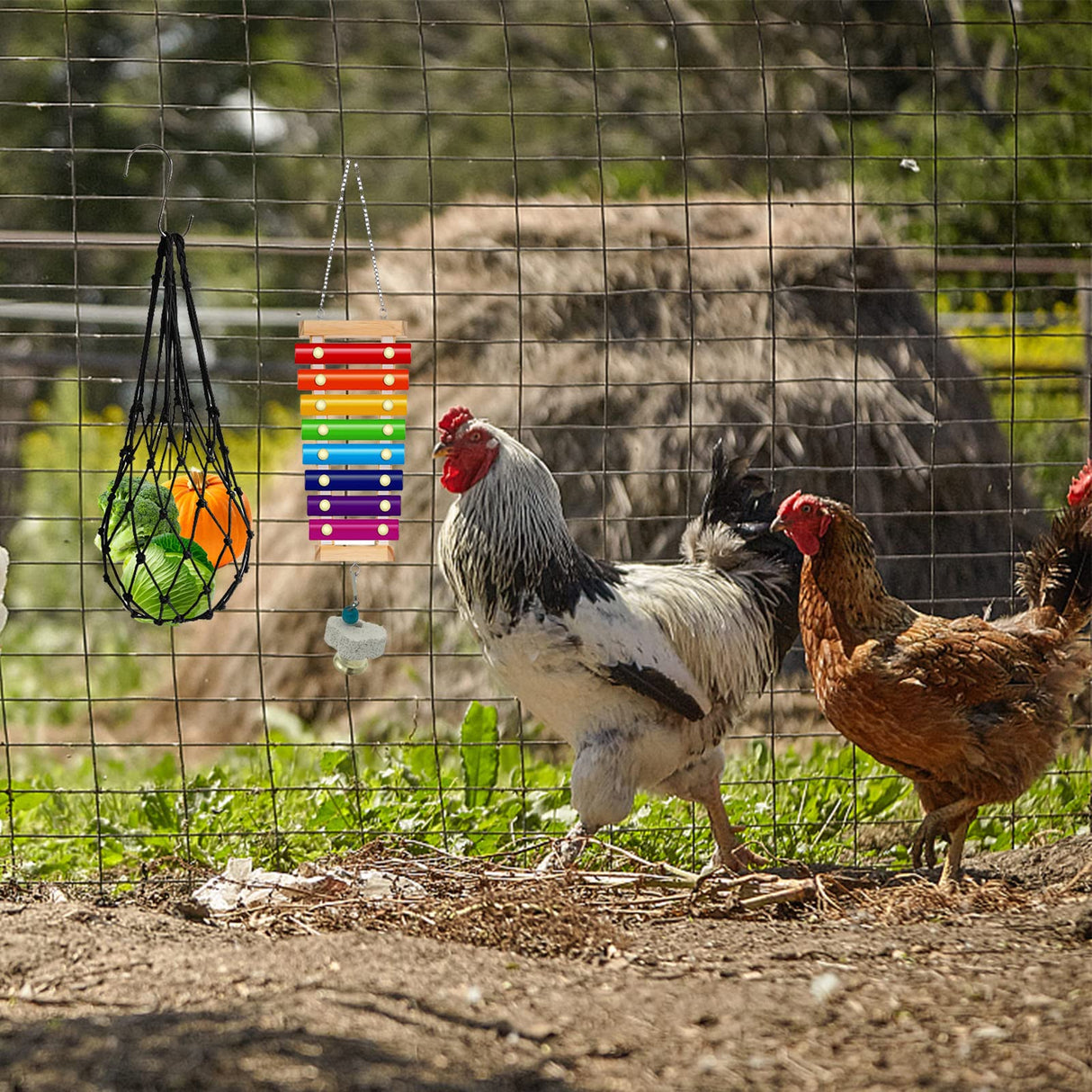 KIEYYRYT 6 Packs Chicken Toys for Coop Accessries, Chicken Swing Toys for Chicken Hens, Chicken Xylophone Toys and Mirror, Vegetable Hanging Feeder, Veggies Skewer KIEYYRYT