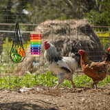 KIEYYRYT 6 Packs Chicken Toys for Coop Accessries, Chicken Swing Toys for Chicken Hens, Chicken Xylophone Toys and Mirror, Vegetable Hanging Feeder, Veggies Skewer KIEYYRYT