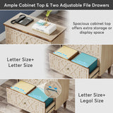 Tribesigns 2 Drawer Lateral File Cabinet, Office Filing Cabinet for A4 / Letter Size/Legal Size Files, Wood Storage Cabinet Printer Stand for Home Office, Living Room, Beige Tribesigns