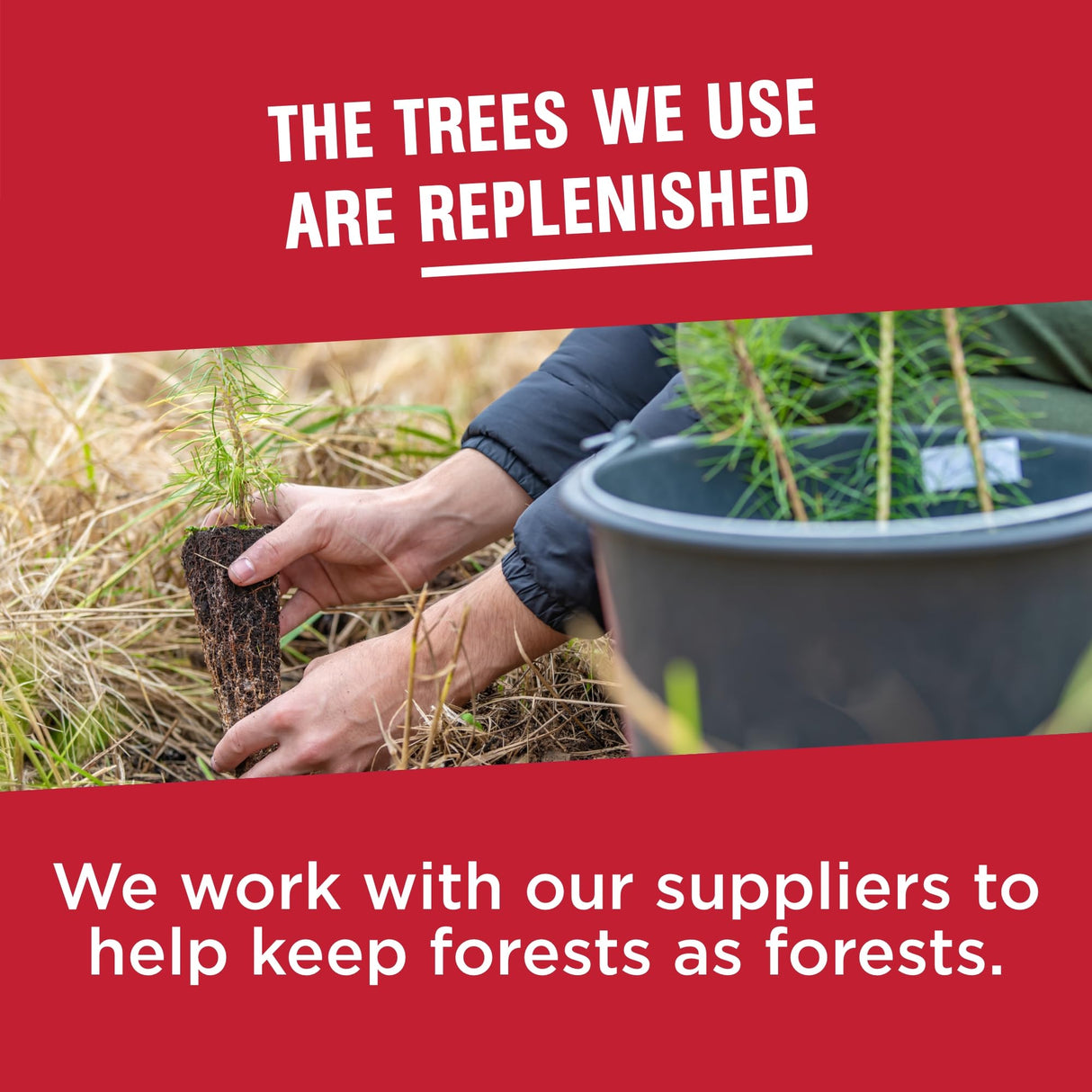 Vanity Fair Everyday Paper Napkins, 100 Count, Disposable Napkins Made Soft And Smooth For Everyday Meals Vanity Fair