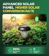 Super Bright Solar Lights Outdoor Waterproof 10 Pack, from Dusk to Dawn Up to 12H Solar Light for Outside, Auto On/Off Solar Powered Garden Pathway Lights, Yard Landscape Lighting AUVERI