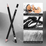 PABLUE Professional Triangular Drawing Sketching Pencil Set,6H,4H,2H,H,HB,F,B,2B,3B,4B,6B,8B,10B,12B Graphite Shading Pencils for Beginners,ProArtists,Drawing,Drafting,Sketching,Shading(14 Pcs) PABLUE