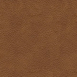 Signature Design by Ashley Carianna Classic Leather Match Sofa with Nailhead Trim, Dark Brown Signature Design by Ashley