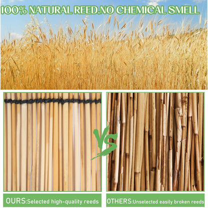 Natural Reed Fencing,Privacy Fence Bamboo-Like Reed Screen Curtain Eco-Friendly for Garden,Balcony,Outdoor,Backyard Patio Decors Fence Rolls-3.3FT X 13.1FT - WoodArtSupply