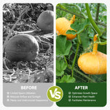 HIRALIY Cucumber Trellis for Climbing Plants Outdoor, 5 ft Tall Metal Garden Trellis, Arch Tunnel for Tomato Grape Vine Vegetables, Plant Support Archway for Garden Raised Bed, Green HIRALIY