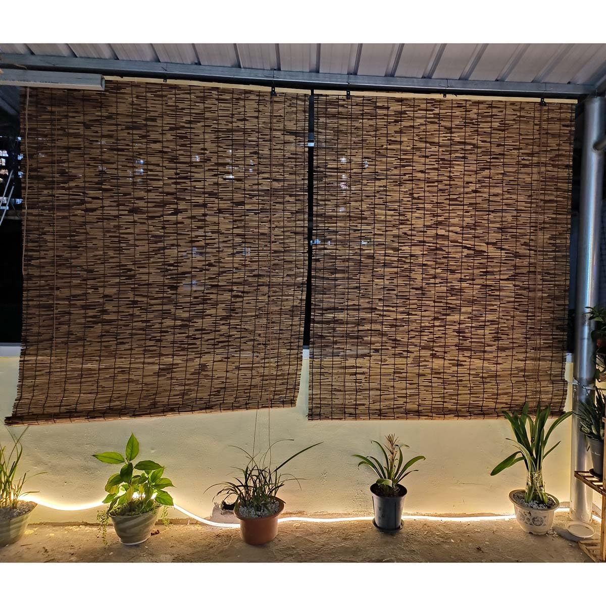 DISPRA Bamboo Roll-Up Shades - Light Filtering Outdoor Blinds for Home Decor (72" W x 84" H)