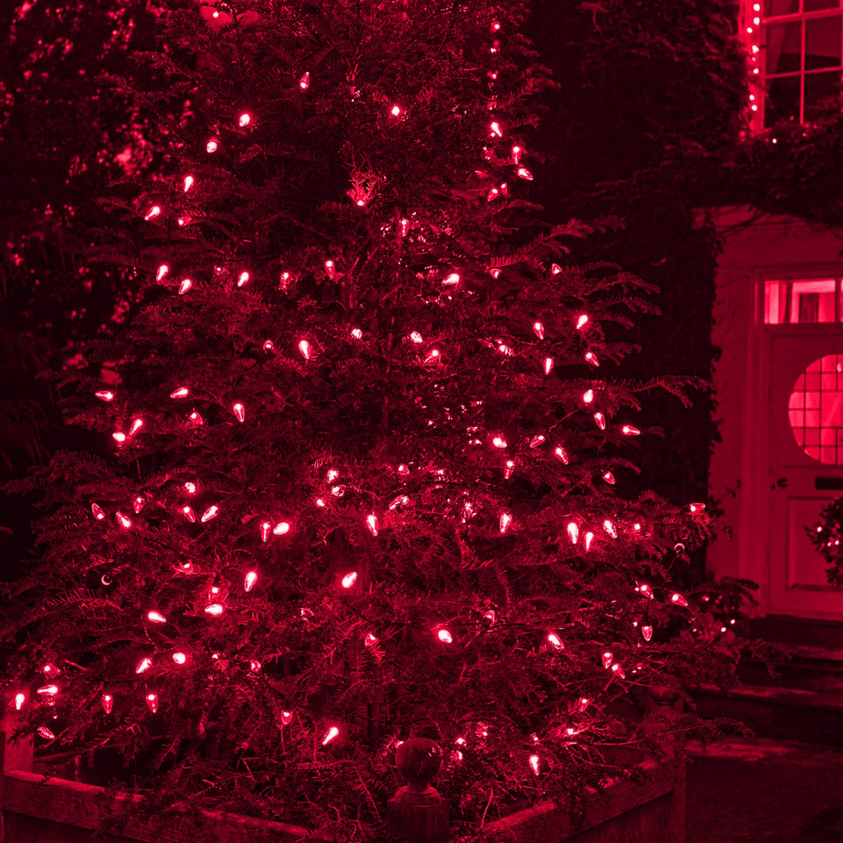 Dazzle Bright C6 Christmas String Lights, 100 LED 33 FT Waterproof Connectable Green Wire Fairy Lights, 8 Modes Christmas Lights for Indoor Outdoor Home Garden Yard Xmas Tree Decorations (Red) Dazzle Bright