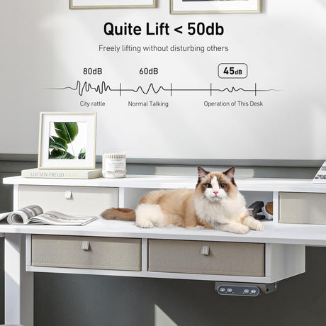 FEZIBO Sturdy Height Adjustable Electric Standing Desk with Drawers, 63 x 24 Inch Stand Up Table with Large Storage Shelf, Sit Stand Desk, White Top FEZIBO