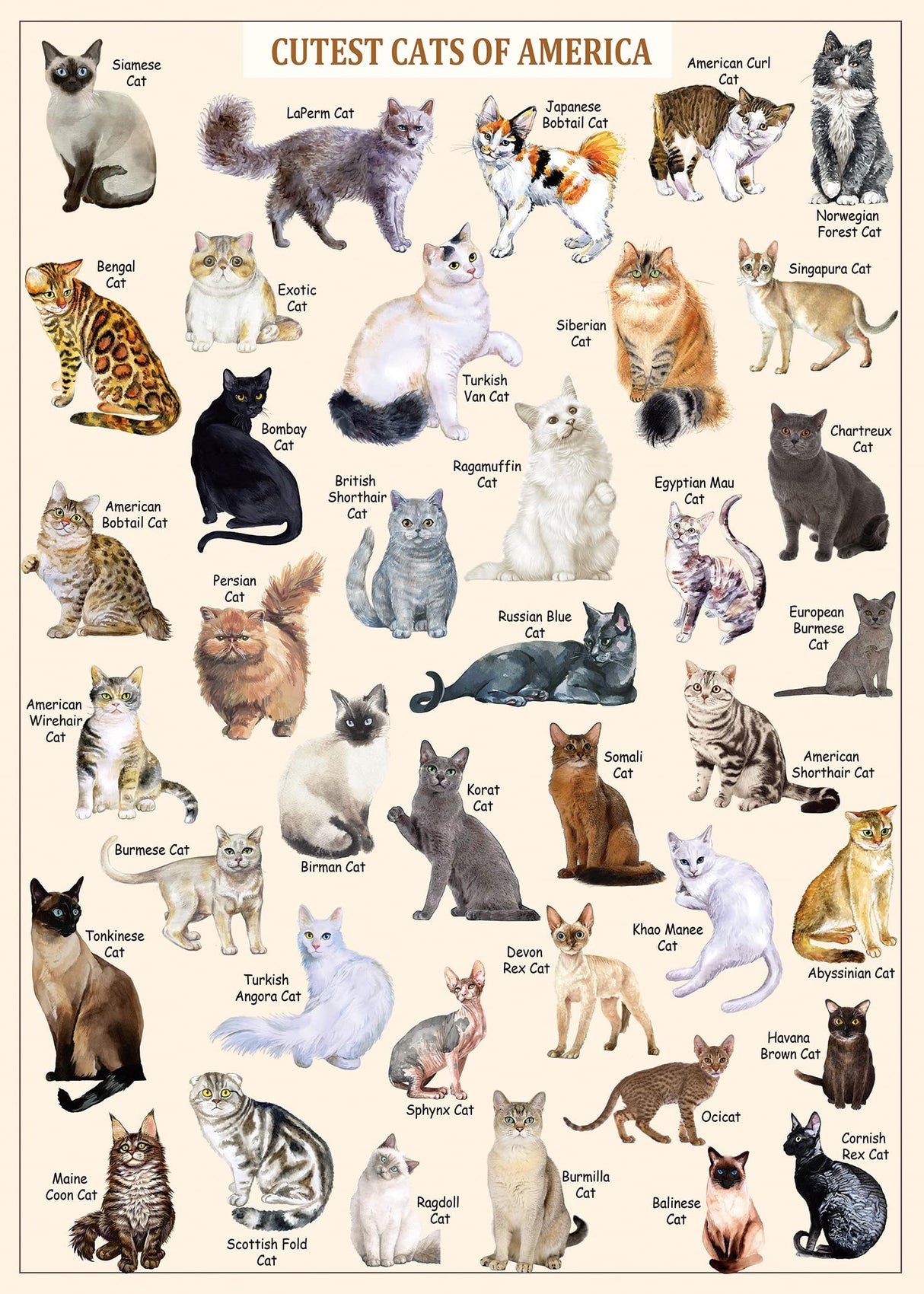 Cat Puzzles for Adults 1000 Pieces and Up,Vintage Kitty Puzzles for Adults, Animal Feline Jigsaw Puzzle Kittens PICKFORU