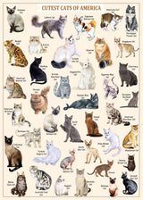 Cat Puzzles for Adults 1000 Pieces and Up,Vintage Kitty Puzzles for Adults, Animal Feline Jigsaw Puzzle Kittens PICKFORU