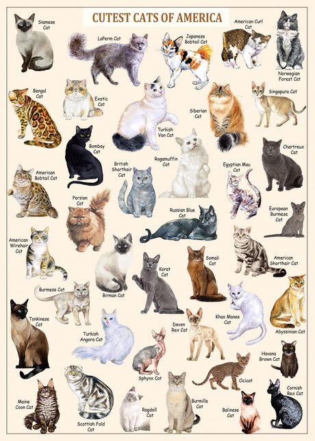 Cat Puzzles for Adults 1000 Pieces and Up,Vintage Kitty Puzzles for Adults, Animal Feline Jigsaw Puzzle Kittens PICKFORU