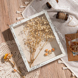 Califortree 8x10 Shadow Box Frame with Linen Back - Real Glass, Push Pins Included, Sturdy Rustic Memory Display Case, Distressed White Califortree