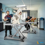KANIS Professional Electric Dog Grooming Table - Heavy Duty, Height Adjustable Pet Grooming Table w/Leveling Wheels, Grooming Arm, Anti Slip Tabletop & Tool Organizer/Dog Grooming Station (49", Grey) KANIS