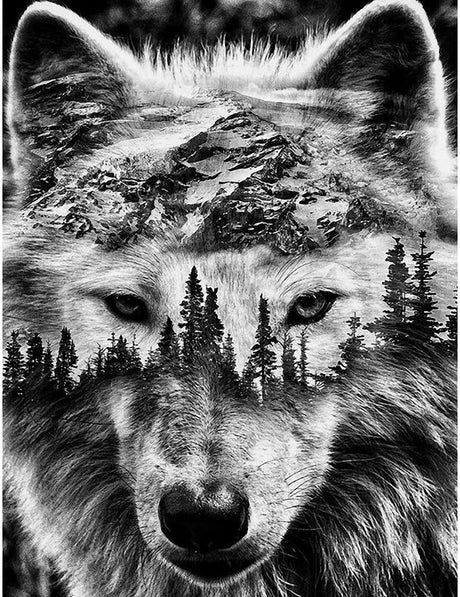 BOHADIY Diamond Painting Kits for Adults Kids Wolf 5D Diamond Art Kits for Adults Kids Beginner, Paintings with Diamonds Gem Art and Crafts for Home Wall Decor 15.8x11.8 Inch BOHADIY