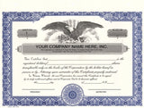 Corporate Kit (Black) - Binder, Slipcase, Minutes & Bylaws, Stock Certificates, Index Tabs & Metal Corporate Seal Hubco