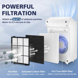 C545 H13 True HEPA Replacement Filter S Compatible with Winix C545 Air Purifier, Replaces Part 1712-0096-00 and 2522-0058-00, 1 True HEPA Filter + 4 Activated Carbon Filters, 1 Pack Cabiclean