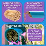 Rivajam Color Splash Mason Bee House - Vibrant & Strong Waterproof Bee Hotel & Insect Habitat - Mason Bee Tubes Filled Bee Houses for The Garden - Pollinator House Bug Hotel Gardening Gifts Rivajam