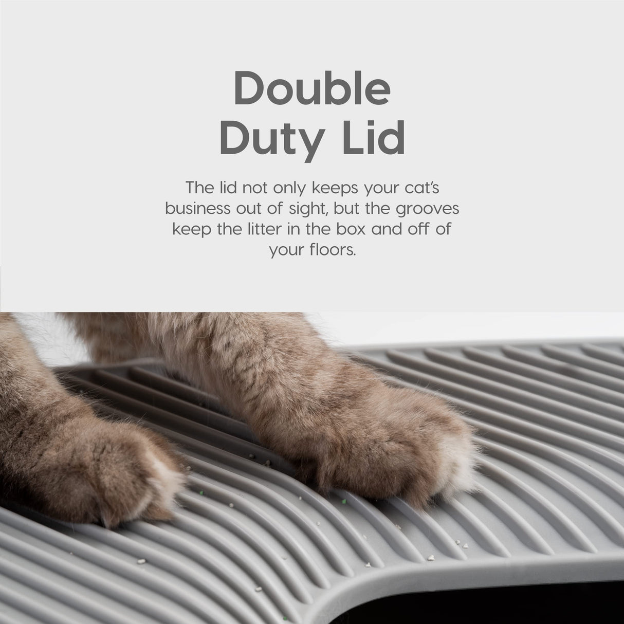 IRIS USA Premium Top Entry Cat Litter Box with Scoop, Square Enclosure for Cat and Kitty, Gray IRIS USA