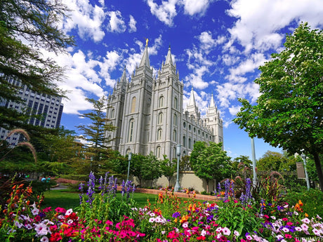 TUTUMAY21 5D Diamond Painting Kit for Adults Salt Lake Temple DIY Arts Craft for Home Wall Decor Birthday Gifts 12x16inch TUTUMAY21