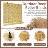 Natural Bamboo Reedcurtain with Lift, Sun Protection Outdoor Reedroller Blinds Retro, Breathable Roll up Shades for Windows, Privacy Protection, Customize, For Windows Patio Porch Indoor Outdoor(Prima XWLSLJFUH