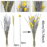 CISDUEO Dried Flowers Bouquet Dried Wheat Stalks Bundle Natural Lavender Dried Flowers Craspedia Flowers Dried Floral Arrangements for Wedding Party Table Centerpiece Decor Farmhouse DIY CISDUEO