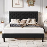 SHA CERLIN Queen Size Velvet Bed Frame with Adjustable Headboard, Diamond Button Tufted and Rivet Decor, No Box Spring Needed, Black SHA CERLIN