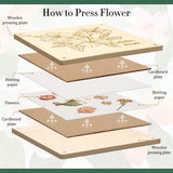 Aboofx Flower Press Kit, Craft Kits 11"x11" 10 Layers Wooden Flower Pressing Kit for Crafts Pressed Flowers and Plant for DIY Art, Preservation for Bookmark Frame Wedding Flower Drying Aboofx