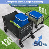 Raynesys 3 in 1 Collapsible Wagon Converts to Bench, 220lbs Foldable Wagon Cart with Wheels, 120L Shopping Cart for Groceries Folding Utility Wagon for Beach, Garden, Camping, Sport, Black Raynesys