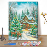 EOBROMD Christmas Paint by Numbers Kits for Adults, Winter DIY Kits Crafts for Beginner, Painting Adults, Christmas Oil Paint by Numbers for Home Decor Gift 16x20inch(Without Frame) EOBROMD