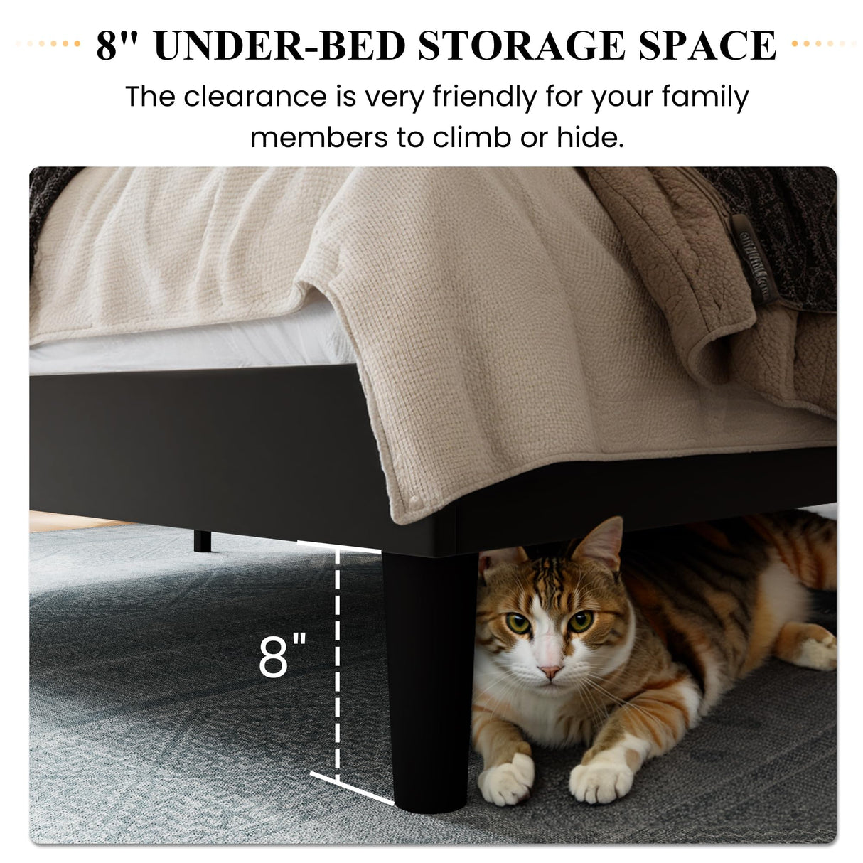 SHA CERLIN Queen Size Velvet Bed Frame with Vertical Channel Tufted Wingback Headboard, Upholstered Platform Bed with Wood Slats, No Box Spring Needed, Easy Assembly, Black SHA CERLIN