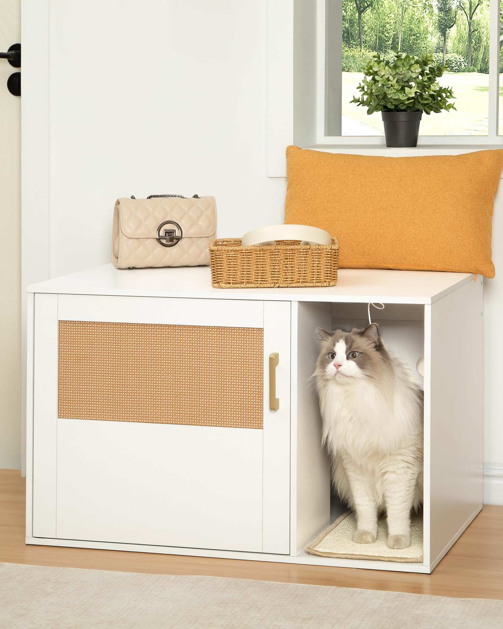 Cat shops door for cabinet